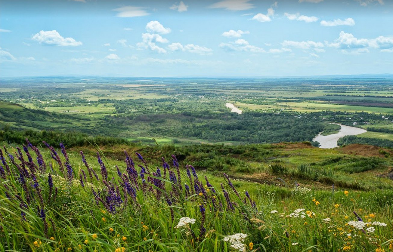 Леса Ставропольского Края Фото